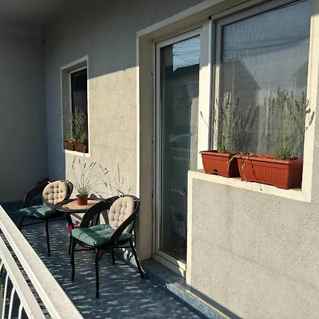 Urban Yard Retreat * Belgrado